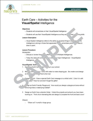 Multiple Intelligence / Visual (2-5)