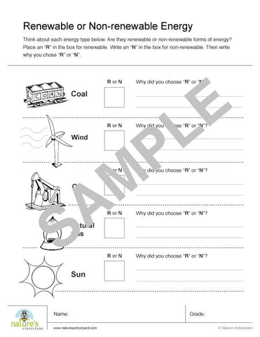 Renewable Energy Activity Page